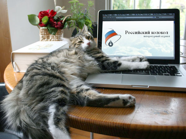кот лезет в интернет - на сайт журнала Российский колокол;)